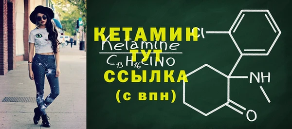 сатива Аркадак