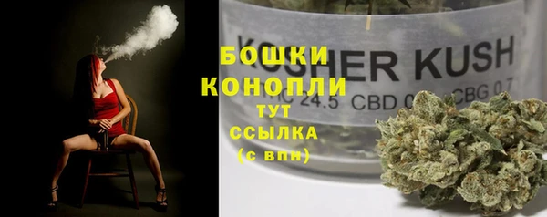 сатива Аркадак