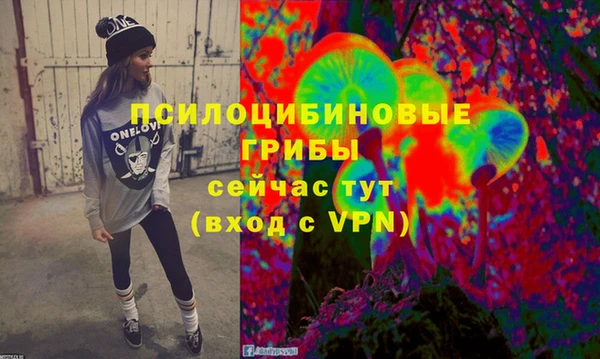 гидропоника Армянск