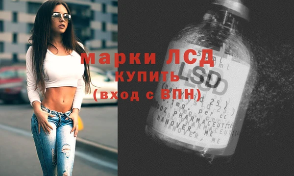 сатива Аркадак