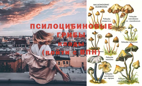 амфетамин Арсеньев